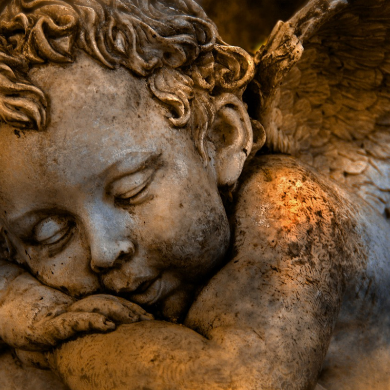 Next Year, I Plan to Sleep Through Christmas