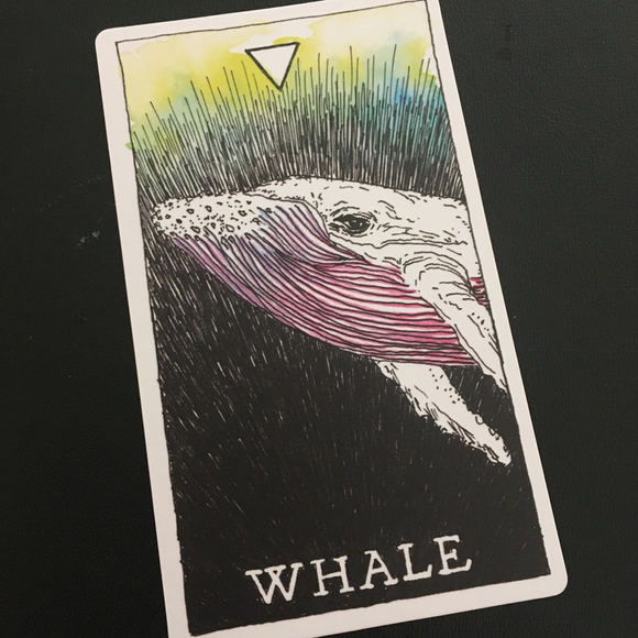 The Dream: Whale Spirit Medicine