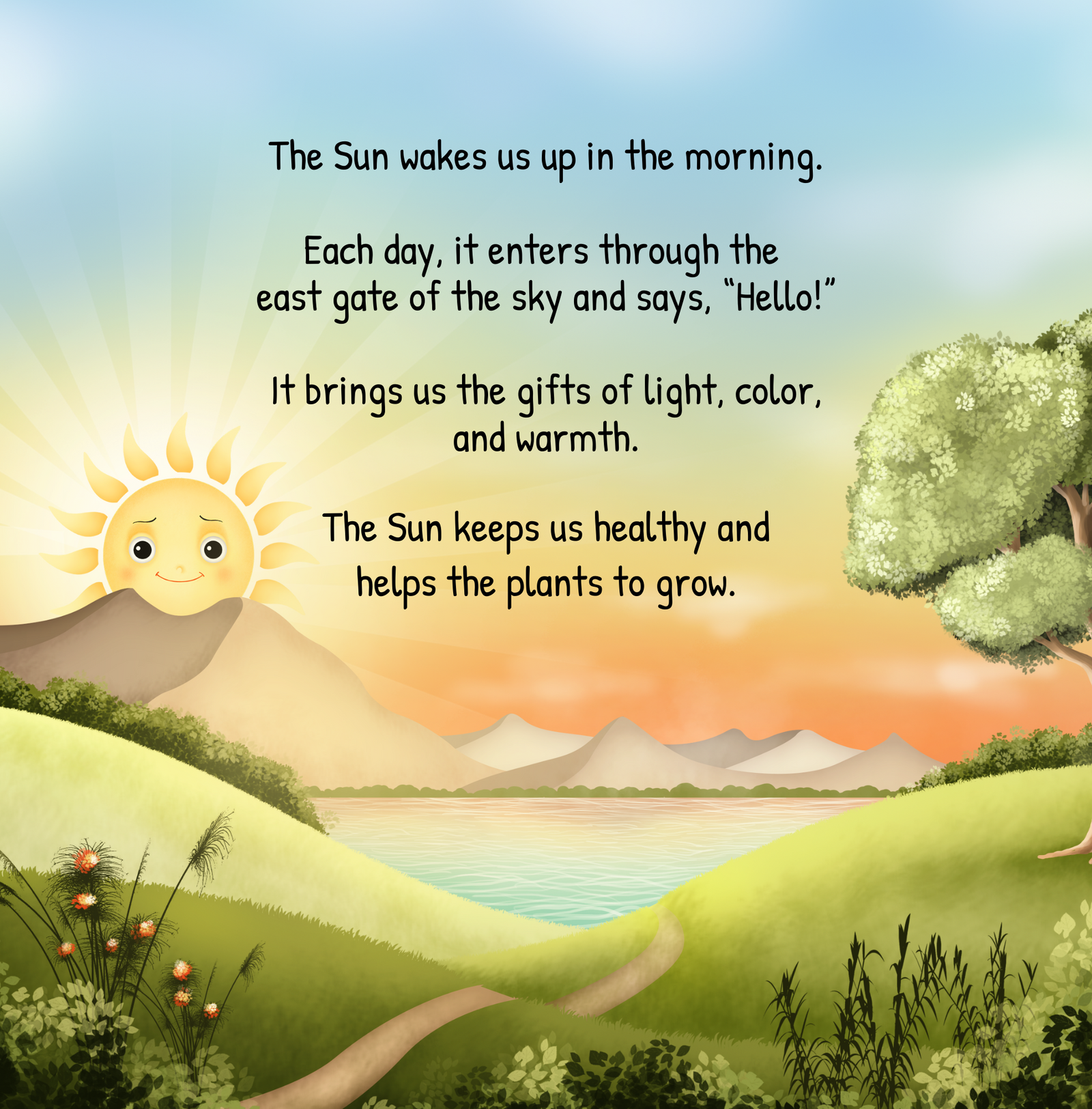 The Sun and Me: a story about the daily body clock