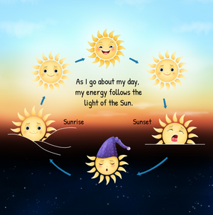 The Sun and Me: a story about the daily body clock